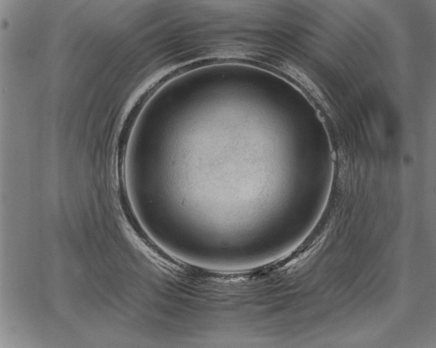 X0000067910939200604131340