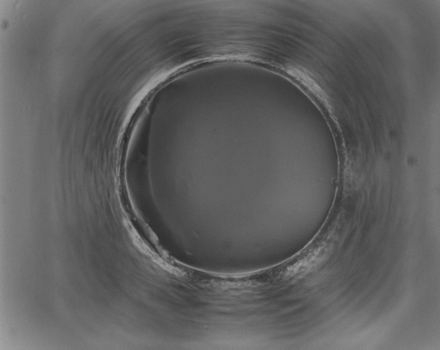 X0000067910941200604131340