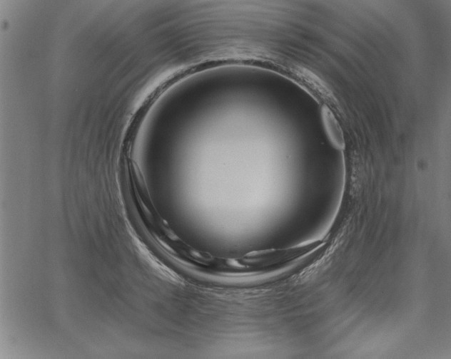 X0000067910942200604131340