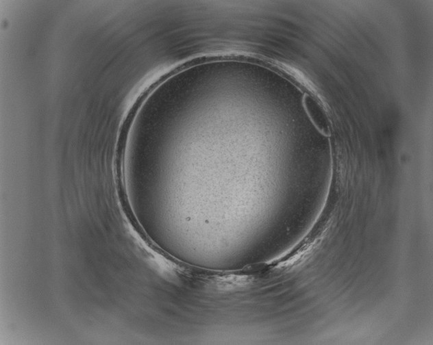 X0000067910943200604131340