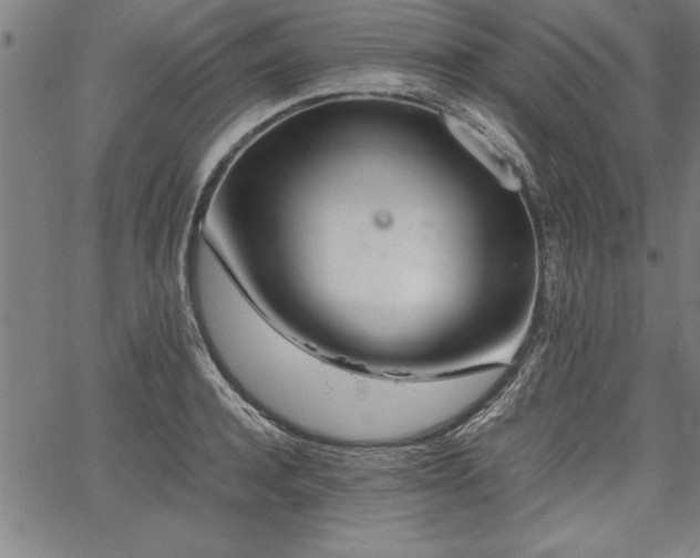 X0000067910944200604131340