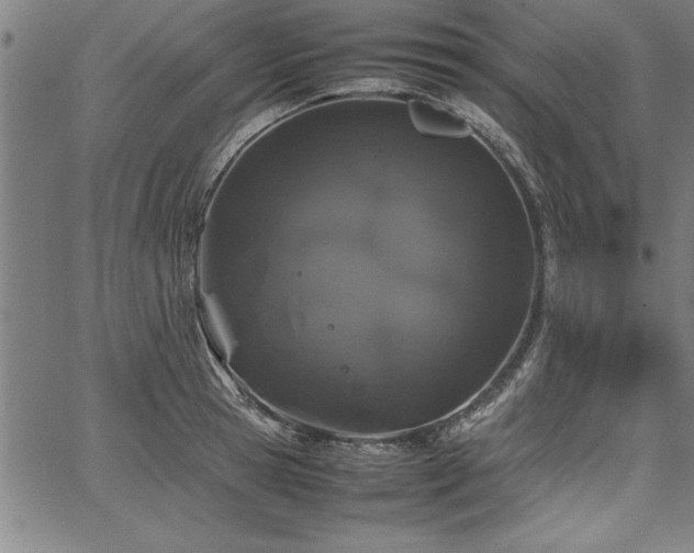 X0000067910945200604131340