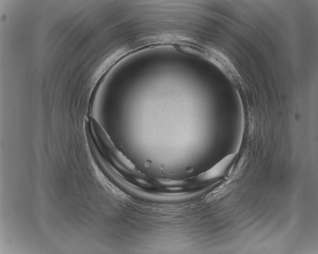 X0000067910946200604131340