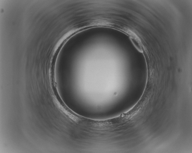 X0000067910947200604131340