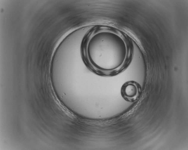 X0000067910948200604131340