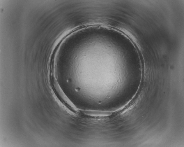 X0000067910949200604131340