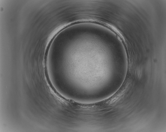 X0000067910951200604131340