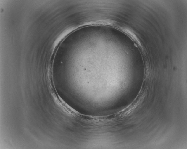 X0000067910952200604131340