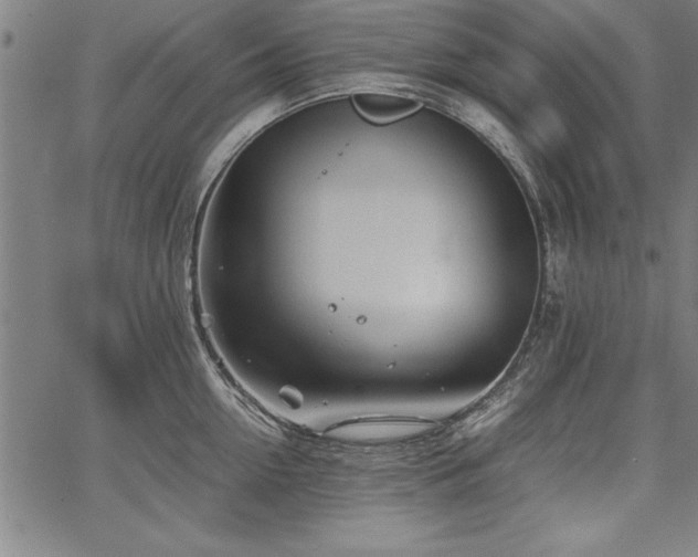 X0000067910954200604131340