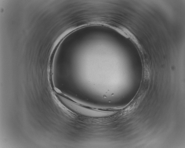 X0000067910955200604131340