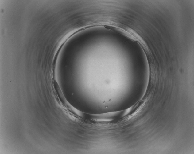 X0000067910956200604131340