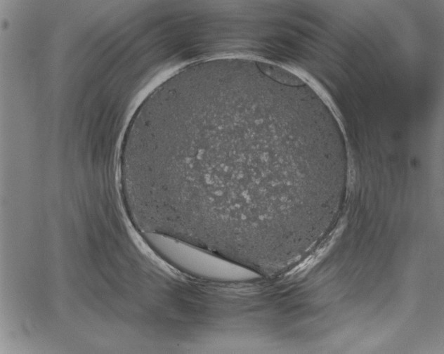 X0000067910957200604131340