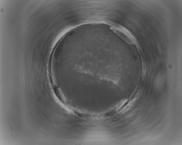 X0000067910958200604131340