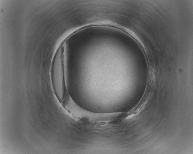 X0000067910959200604131340