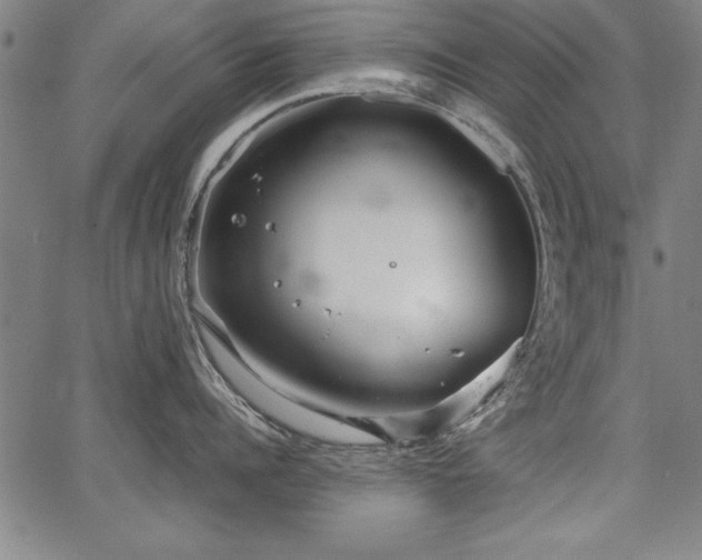 X0000067910960200604131340