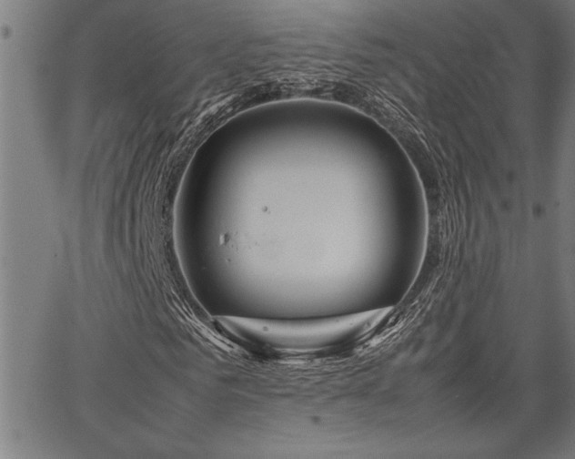 X0000067910961200604131339