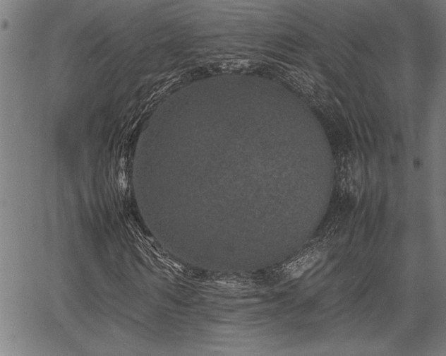 X0000067910962200604131339