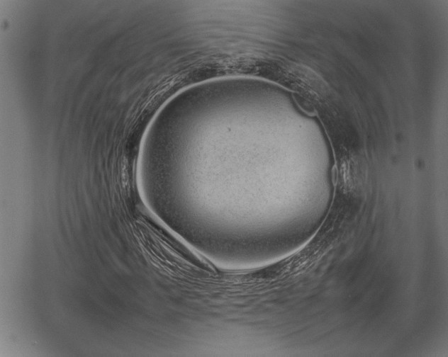 X0000067910963200604131339