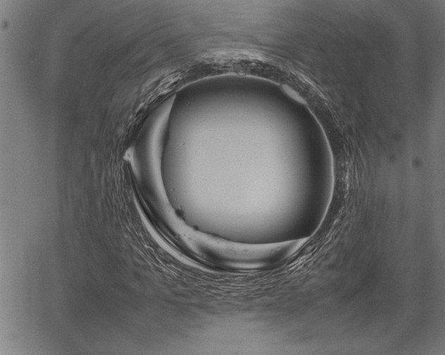 X0000067910965200604131339