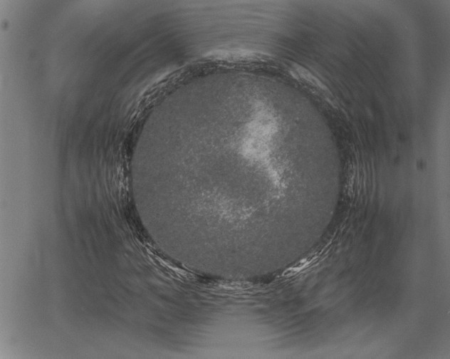 X0000067910966200604131339