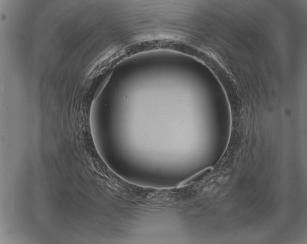 X0000067910967200604131339