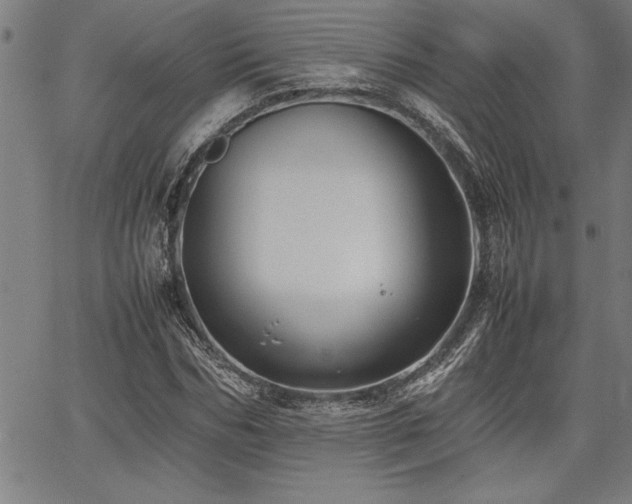 X0000067910970200604131339