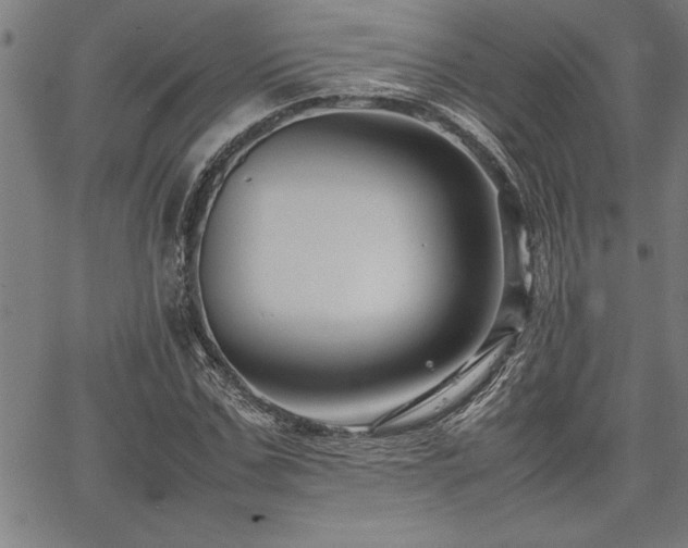 X0000067910971200604131339