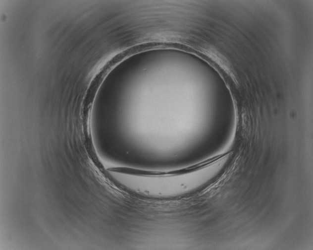 X0000067910972200604131339