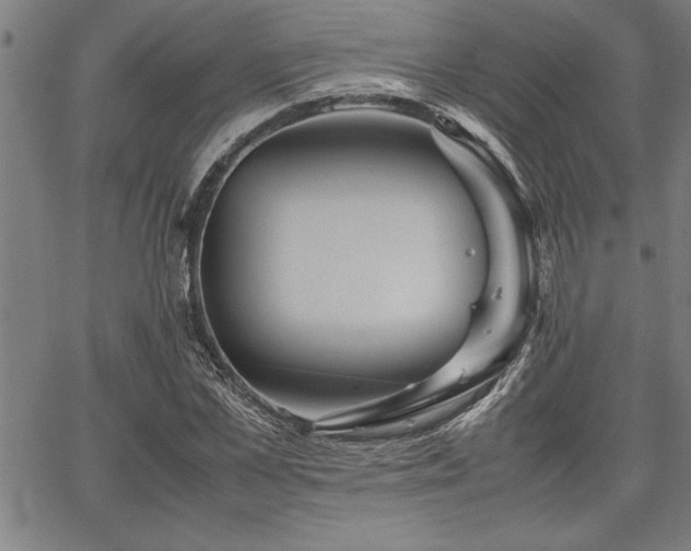 X0000067910973200604131339