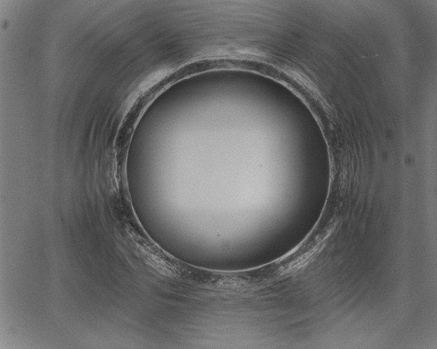 X0000067910974200604131339