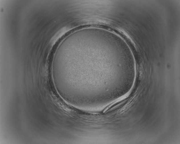 X0000067910975200604131339