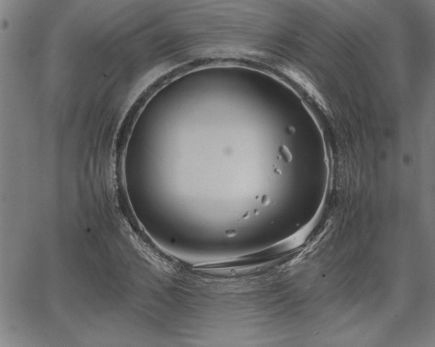 X0000067910976200604131339