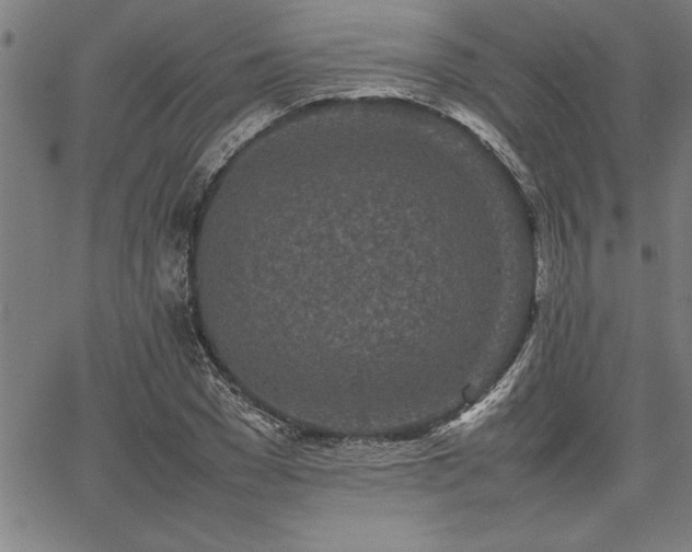 X0000067910977200604131339