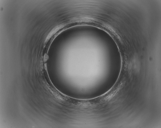 X0000067910978200604131339