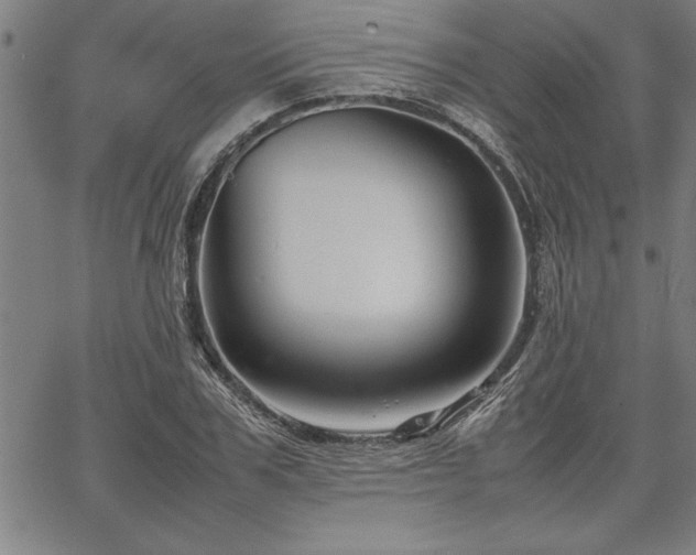 X0000067910979200604131339