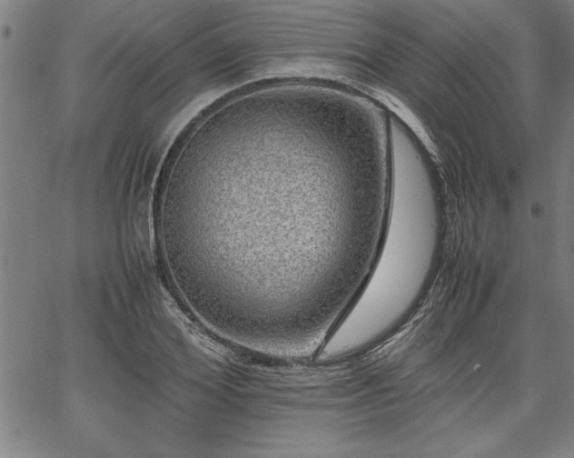 X0000067910980200604131339