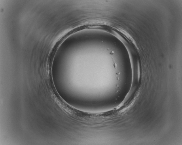 X0000067910981200604131339