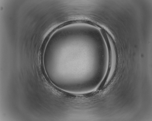 X0000067910983200604131339