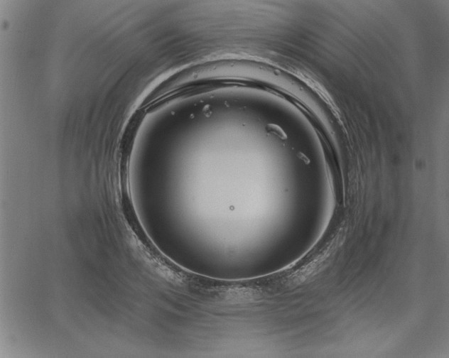 X0000067910984200604131339