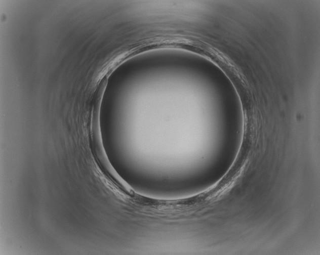 X0000067910985200604131339