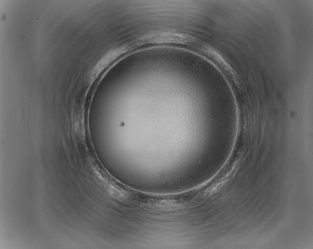 X0000067910986200604131339