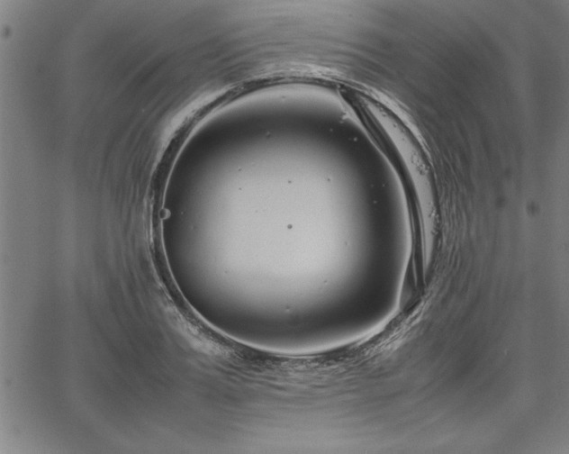 X0000067910987200604131339