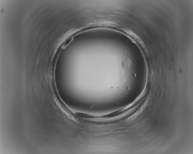 X0000067910989200604131339