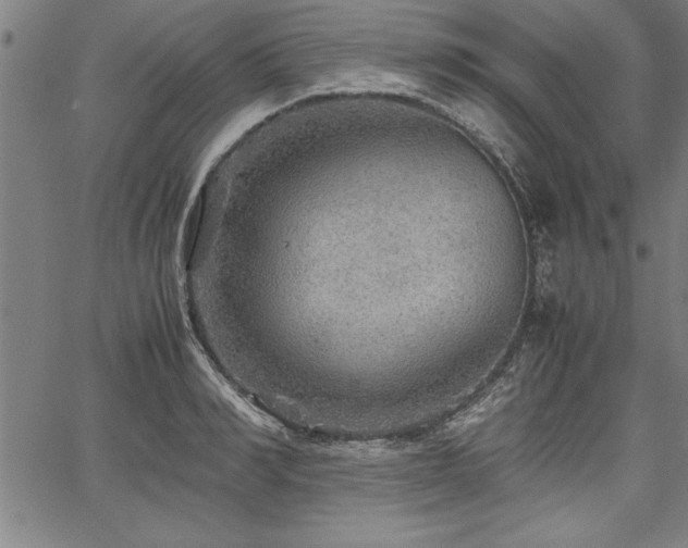 X0000067910990200604131339