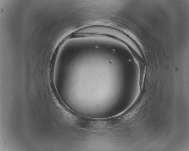 X0000067910991200604131339