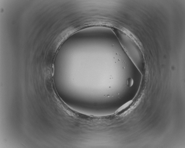 X0000067910993200604131339