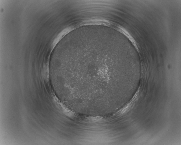 X0000067910994200604131339