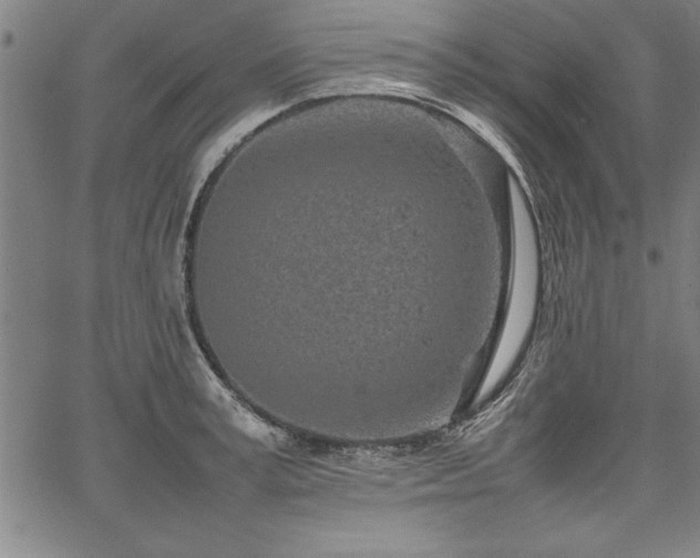 X0000067910995200604131339