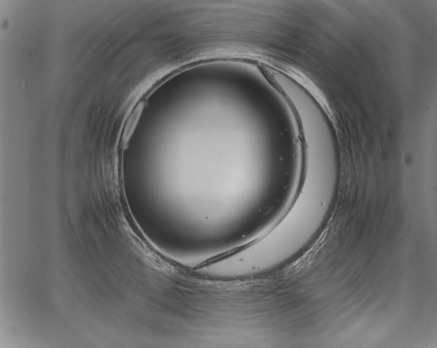 X0000067910996200604131339