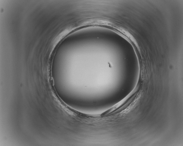 X0000067910997200604131339